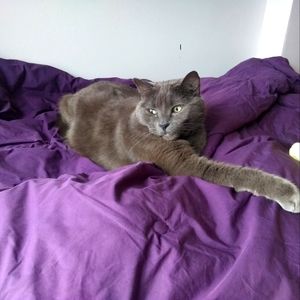 Meet your Posher, Kara